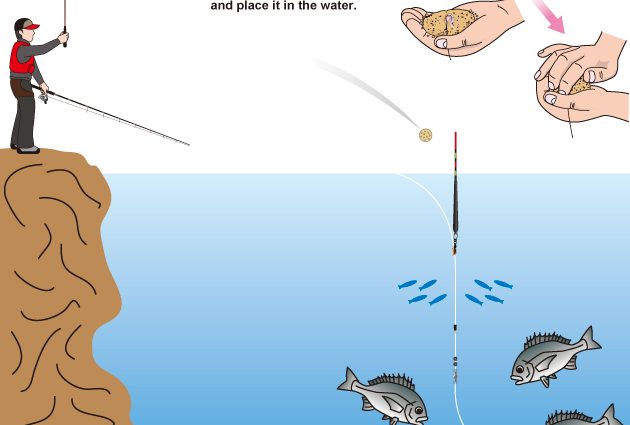 Pesca di Pelengas su un'esca: attrezzatura di fondo, ami e metodi di cattura del pesce