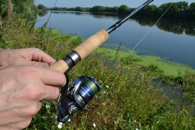 Fishing for perch on a jig: tackle, lures, equipment, wiring