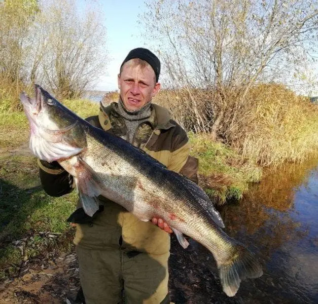 Fishing for pike in April with a spinning rod