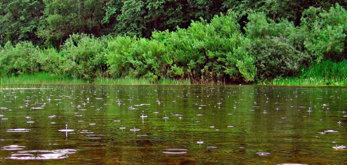 Fishing for roach on a float rod, equipment and fishing techniques