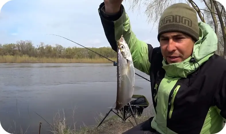 Fishing for sabrefish: the best tactics and tackle