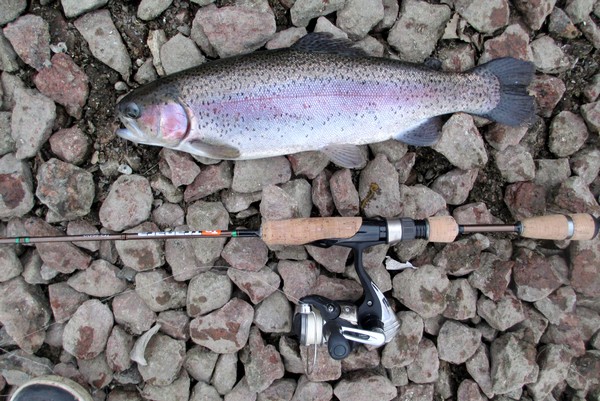 Fishing for salmon and trout on spinning, equipment and bait