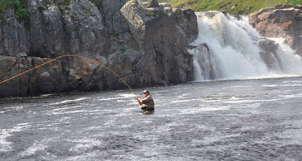 Fishing for salmon and trout on spinning, equipment and bait