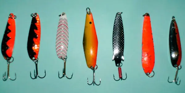 Fishing for salmon and trout on spinning, equipment and bait