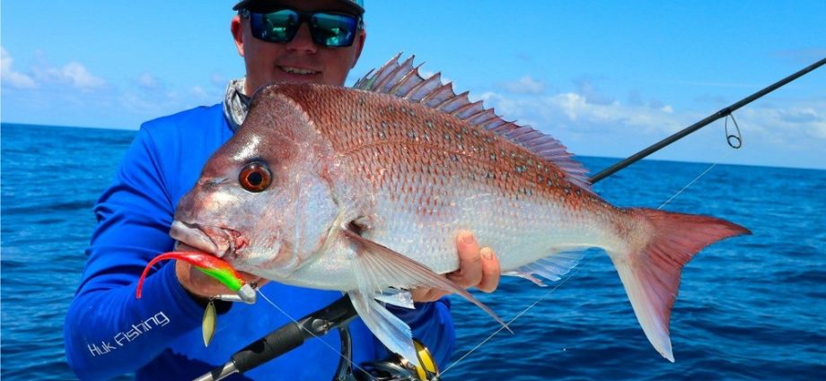 Fishing for Snapper: methods of catching and habitats for reef perch