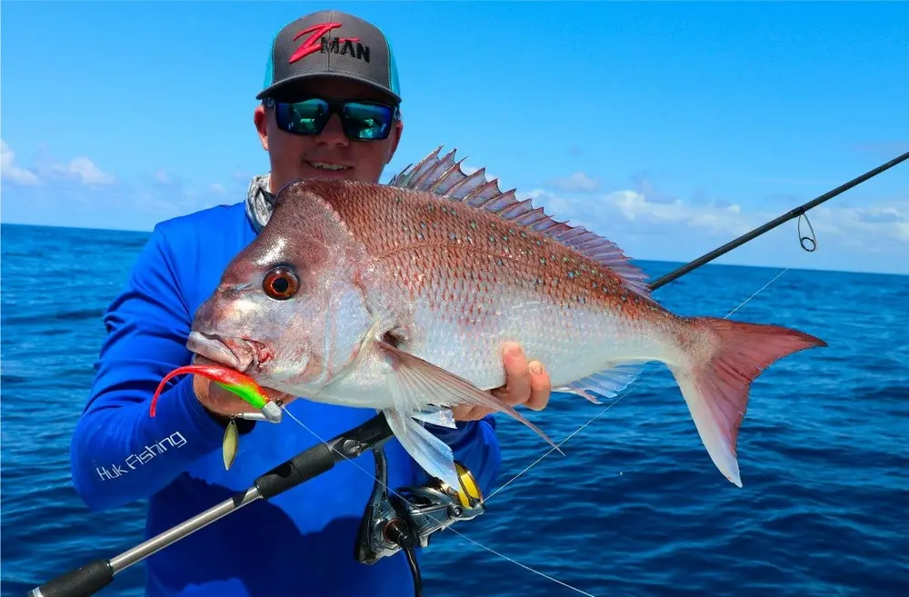 Fishing for Snapper: methods of catching and habitats for reef perch