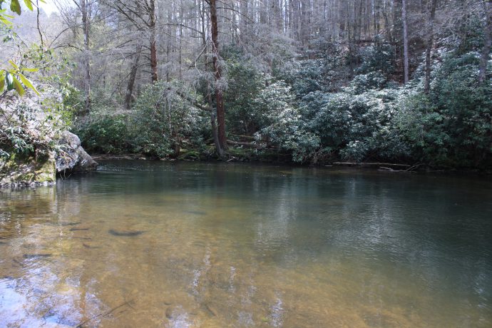 Fishing for trout on a float rod: tackle, bait, fishing spots