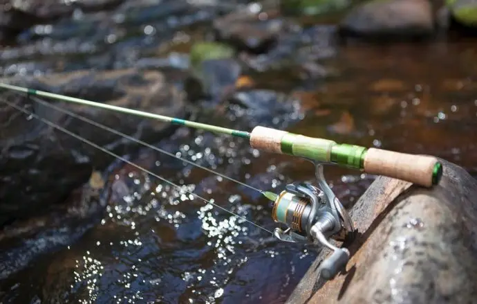 Fishing for trout on spinning on paysites, how to choose spinning