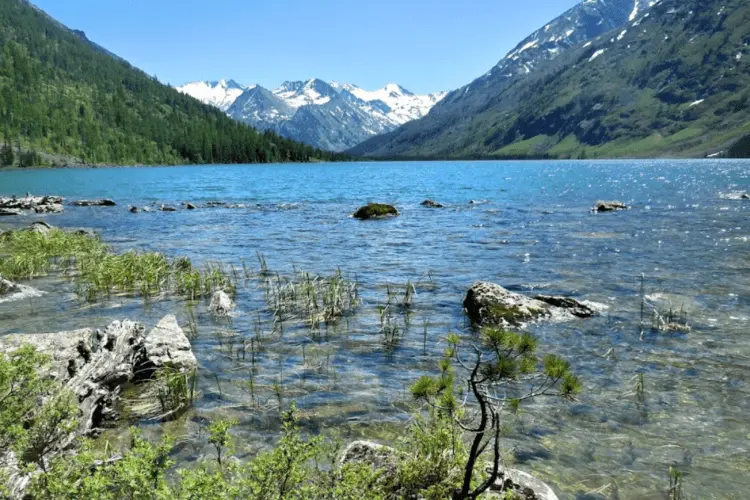 Fishing in Altai