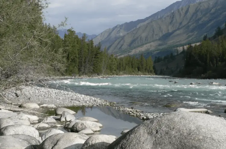 Fishing in Altai