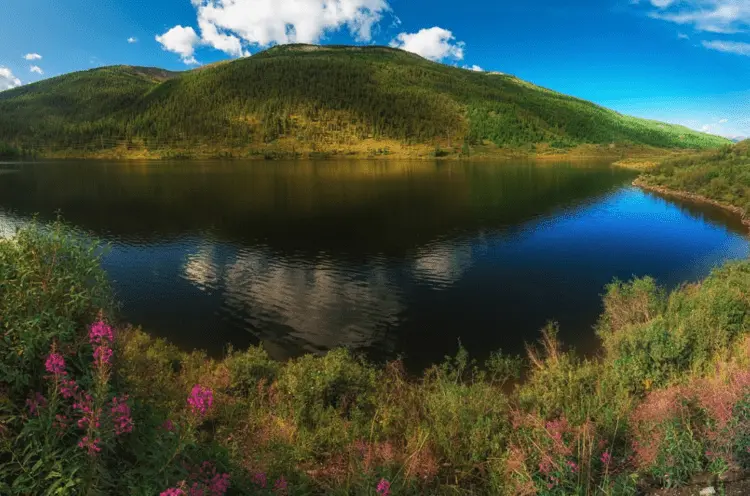 Fishing in Altai