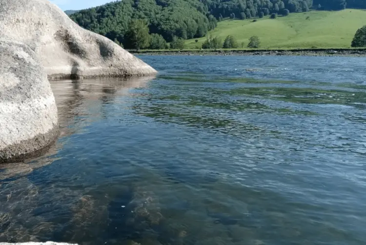 Fishing in Altai