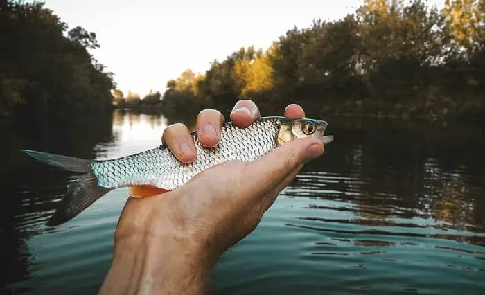 Fishing in November