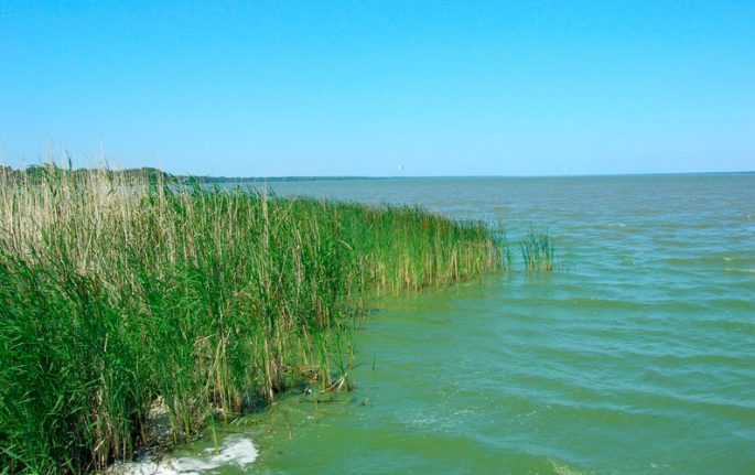 Fishing in Rubtsovsk and its environs: fishing spots, biting forecast