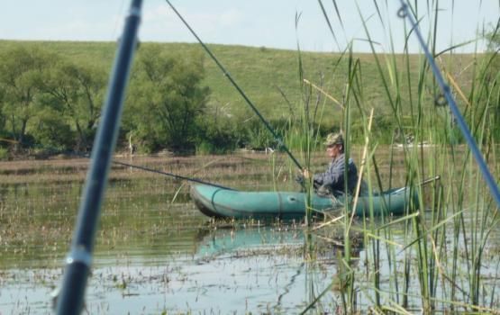 Fishing in Rubtsovsk and its environs: fishing spots, biting forecast