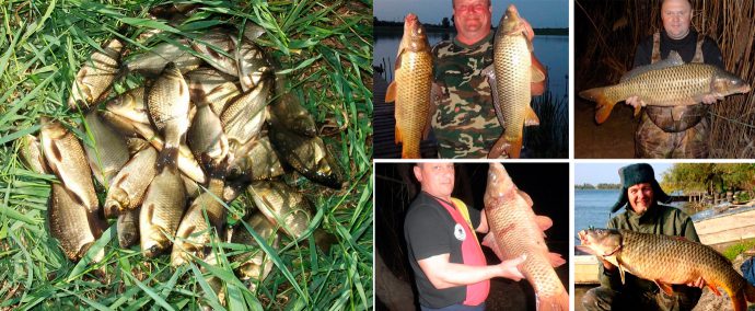 Fishing in the Kaliningrad region: paid and free places, biting forecast