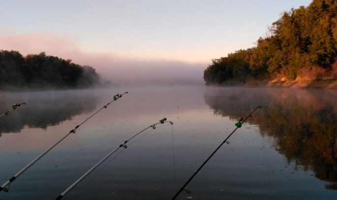 Fishing in the Kaliningrad region: paid and free places, biting forecast