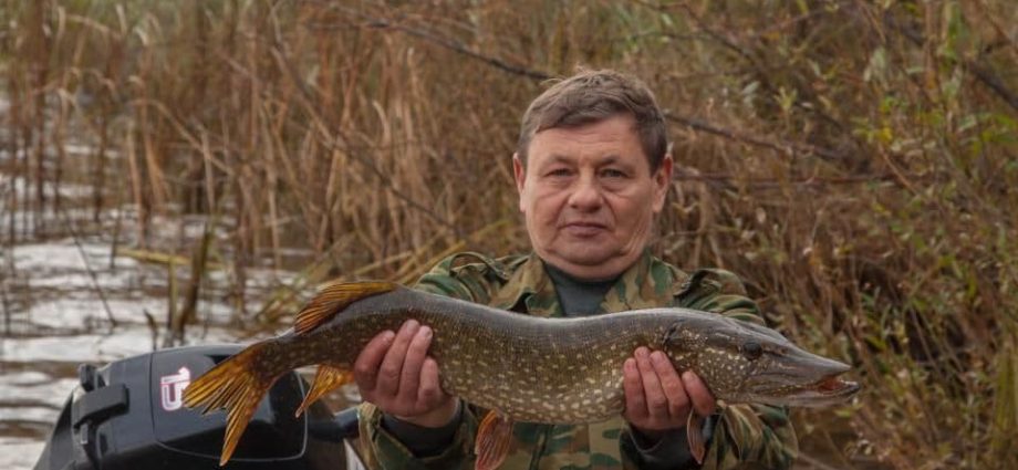 Pesca na região de Nizhny Novgorod