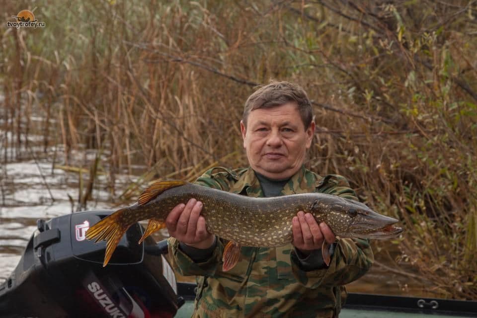 Fishing in the Nizhny Novgorod Region