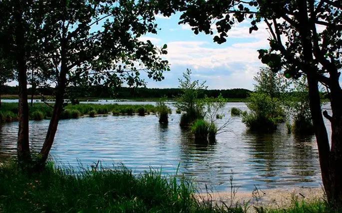 Fishing in the Nizhny Novgorod region: free and paid reservoirs