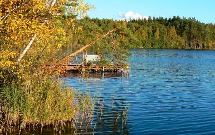 Fishing in the Nizhny Novgorod region: free and paid reservoirs
