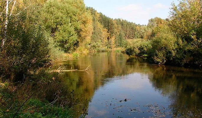 Fishing in the Nizhny Novgorod region: free and paid reservoirs