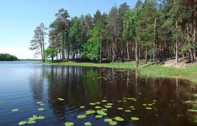 Fishing in the Nizhny Novgorod region: free and paid reservoirs