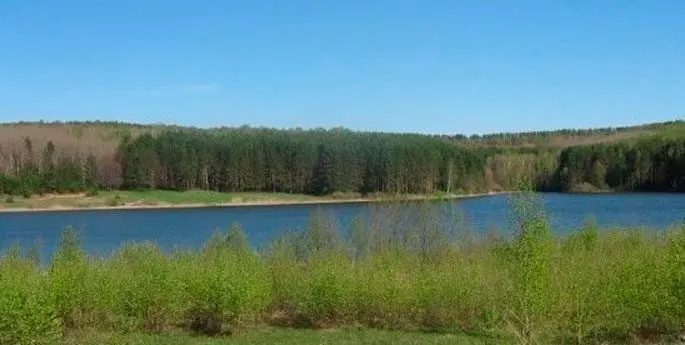 Fishing in the Nizhny Novgorod region: free and paid reservoirs