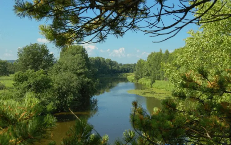 Fishing in the Perm region