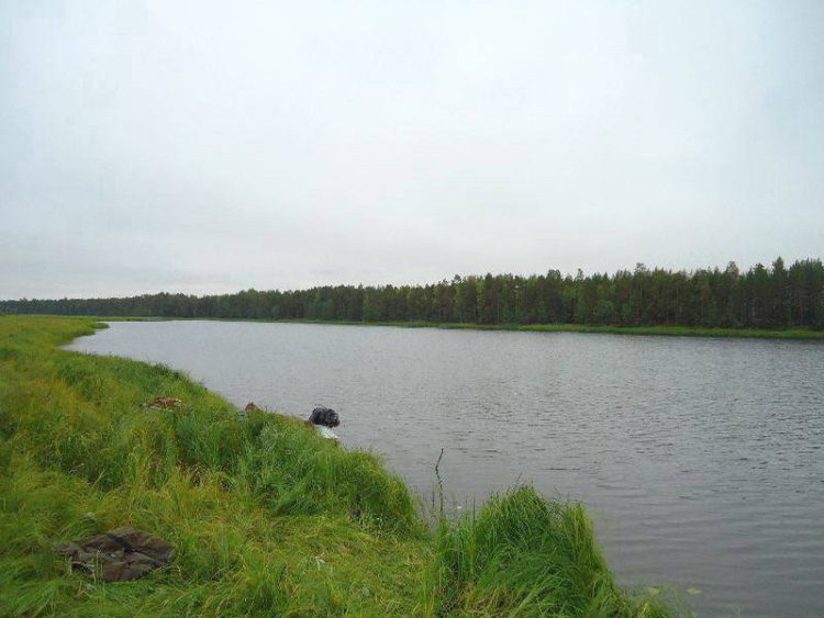 Fishing in the Perm region