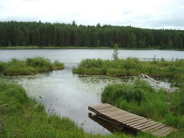 Fishing in the Perm region