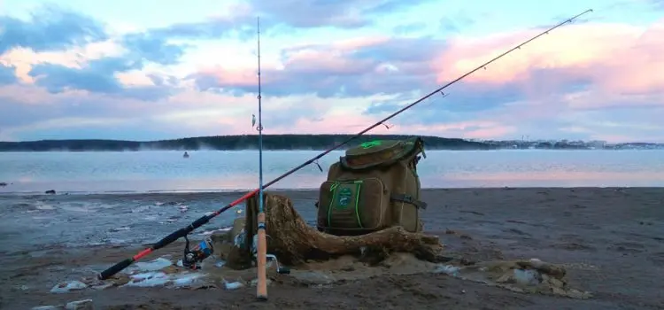 Fishing in the Perm region: free and paid, the best lakes, rivers