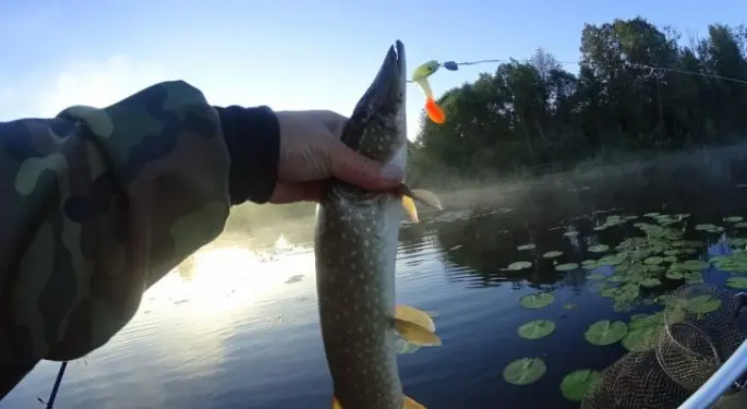 Fishing in the Perm region: free and paid, the best lakes, rivers