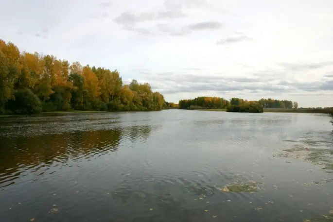 Fishing in the Saratov region: the best places for fishing