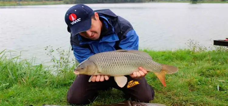 Fishing in the Stavropol Territory: an overview of paid and free reservoirs