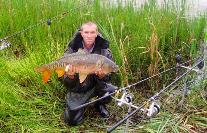 Fishing in the Stavropol Territory: an overview of paid and free reservoirs