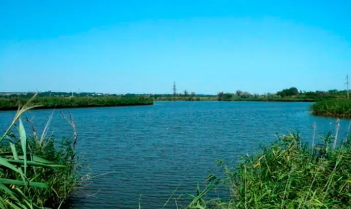 Fishing in the Stavropol Territory: an overview of paid and free reservoirs