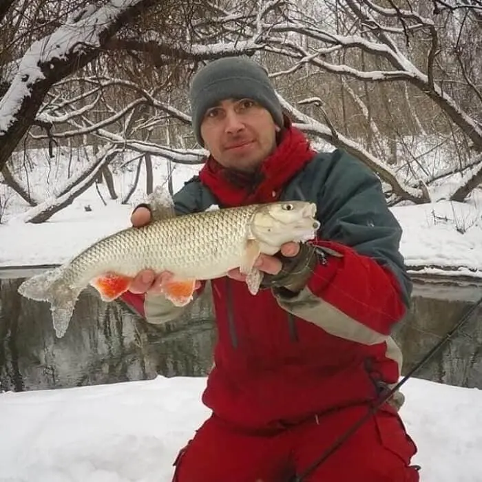 Fishing in the Tula region