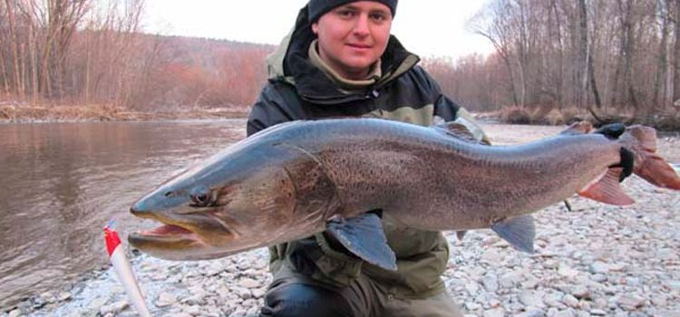 Pesca a Vladivostok: què i on agafar, llocs de pesca, pesca d'hivern