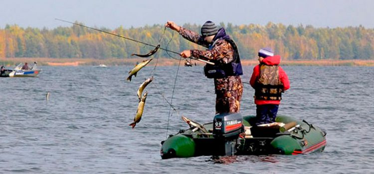 Fishing on the Krasnoyarsk Sea (reservoir): what kind of fish can you catch