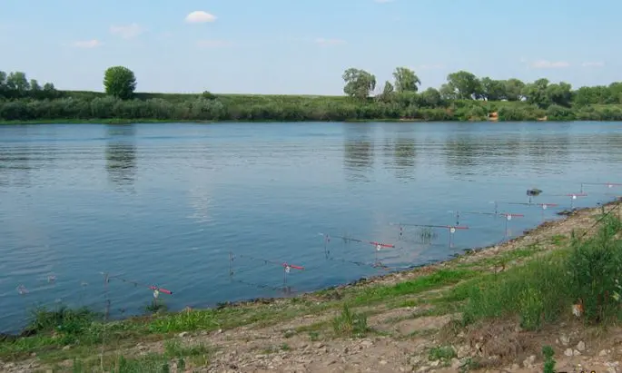 Fishing on the Oka in the Serpukhov region, paid and free reservoirs