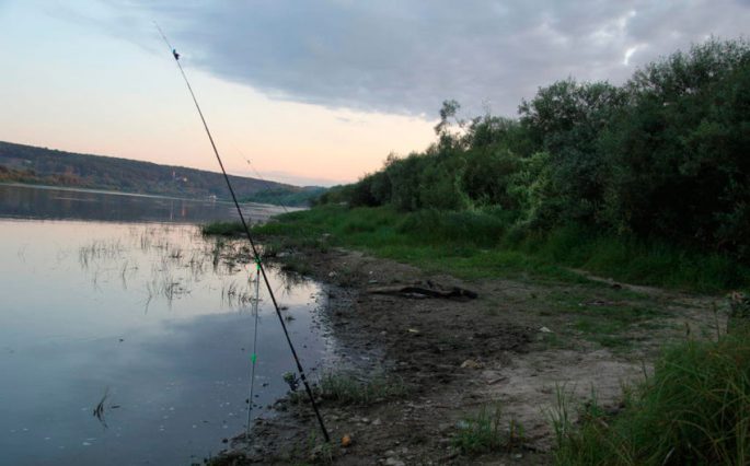 Fishing on the Oka in the Serpukhov region, paid and free reservoirs