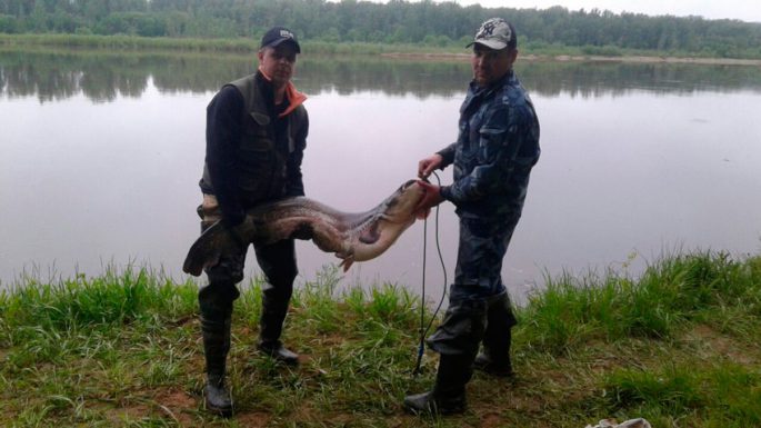 Fishing on the rivers of the Kirov region and in Kirov, an overview of reservoirs