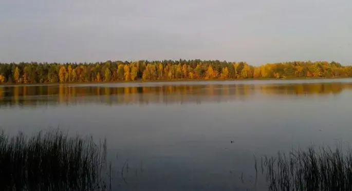 Fishing on the rivers of the Kirov region and in Kirov, an overview of reservoirs