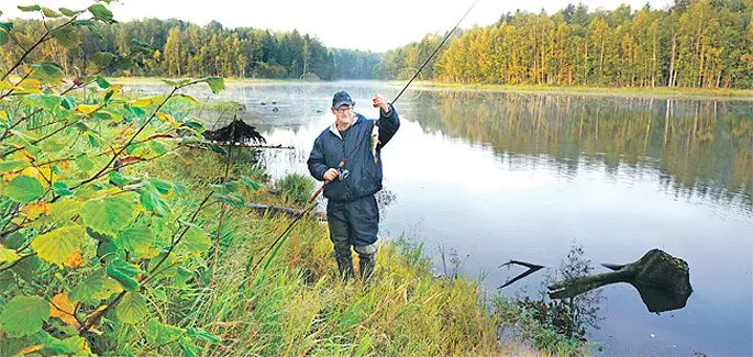 Fishing on the Yauza reservoir: the best places to catch fish