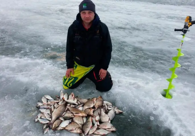 Fishing on the Yauza reservoir: the best places to catch fish
