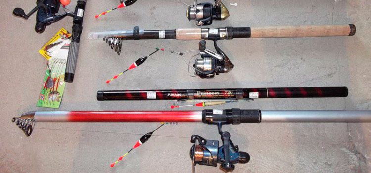 Fishing rods for summer fishing: types of fishing rods, their differences, how to choose the best one