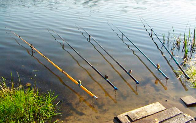 Fishing rods for summer fishing: types of fishing rods, their differences, how to choose the best one