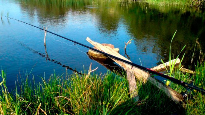 Fishing rods for summer fishing: types of fishing rods, their differences, how to choose the best one