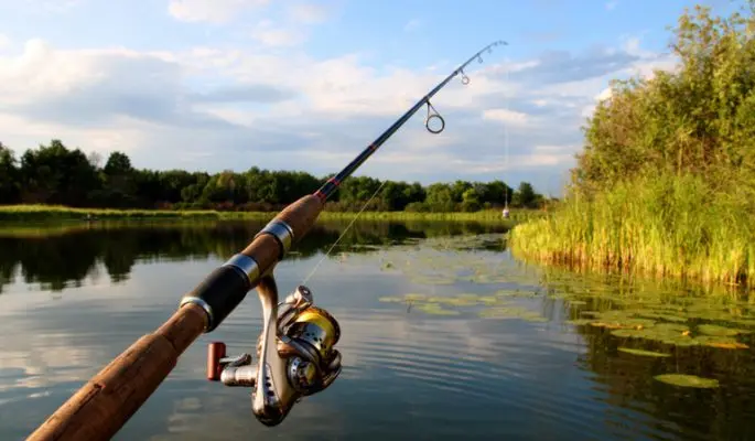 Fishing rods for summer fishing: types of fishing rods, their differences, how to choose the best one